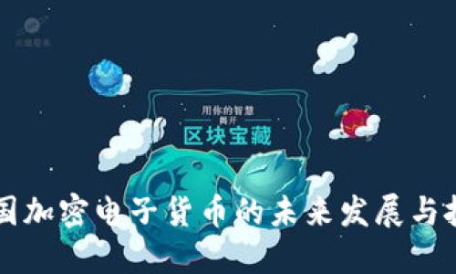 中国加密电子货币的未来发展与挑战