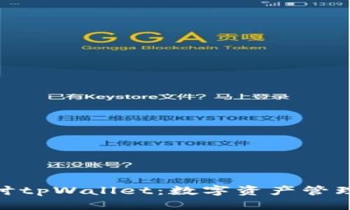 : 深入探讨tpWallet:数字资产管理的新选择