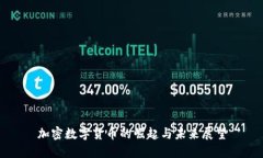 加密数字货币的崛起与未来展望