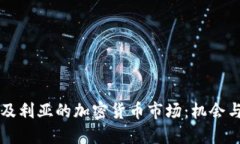 阿尔及利亚的加密货币市场:机会与挑战