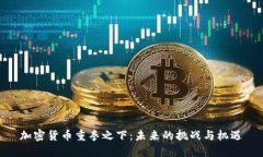 加密货币重拳之下:未来的挑战与机遇