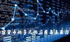 加密货币的多元化应用与未来潜力