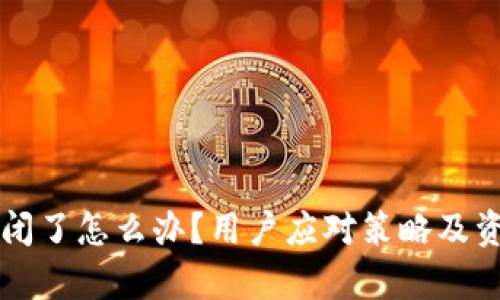 tpWallet倒闭了怎么办?用户应对策略及资产保护指南