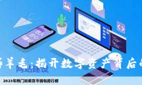 : 加密货币褥羊毛:揭开数字资产背后的秘密与风险