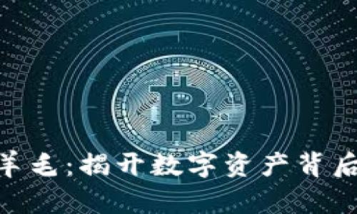 : 加密货币褥羊毛:揭开数字资产背后的秘密与风险