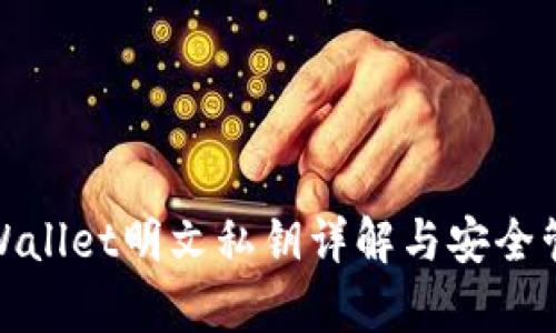 tpWallet明文私钥详解与安全管理