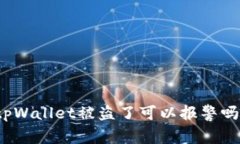 tpWallet被盗了可以报警吗?
