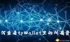 如何查看tpWallet里的所有资产