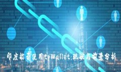 印度能否使用tpWallet:现状与前景分析