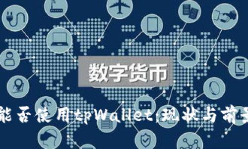 印度能否使用tpWallet:现状与前景分析