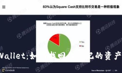 tpWallet:如何找回你忘记的资产币种