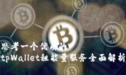 思考一个优质的  
tpWallet租能量服务全面解析
