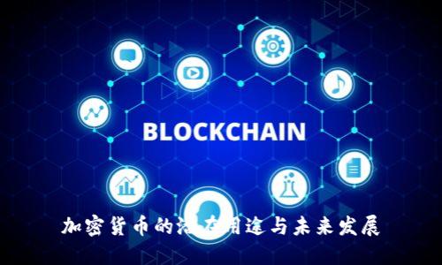 加密货币的潜在用途与未来发展