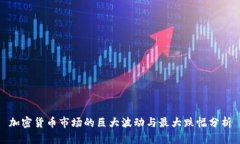 加密货币市场的巨大波动与最大跌幅分析