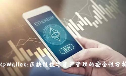 tpWallet:区块链数字资产管理的安全性分析