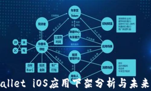 tpWallet iOS应用下架分析与未来展望