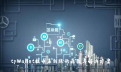 tpWallet提币未到账的原因与解决方案