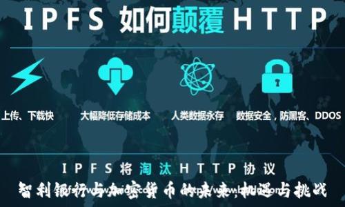   
智利银行与加密货币的未来：机遇与挑战