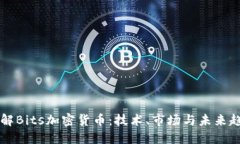 了解Bits加密货币：技术、市场与未来趋势