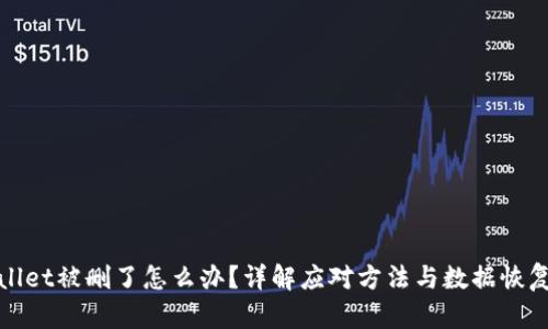 tpWallet被删了怎么办？详解应对方法与数据恢复技巧
