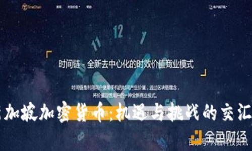 新加坡加密货币:机遇与挑战的交汇点
