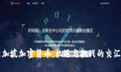 新加坡加密货币:机遇与挑战的交汇点