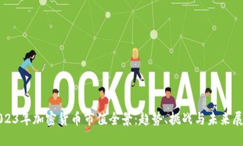 2023年加密货币市值全景：趋势、挑战与未来展望