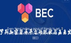 俄罗斯加密货币平台的现状与未来发展