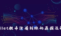 向tpWallet提币没有到账的原因及解决办法