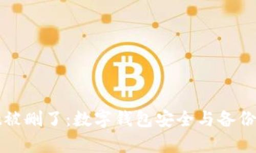tpWallet被删了:数字钱包安全与备份的重要性