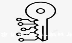 非官方加密货币：现象、挑战与未来趋势