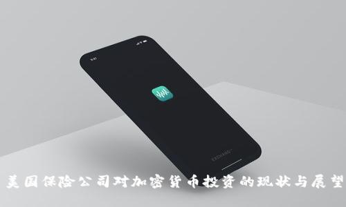 美国保险公司对加密货币投资的现状与展望
