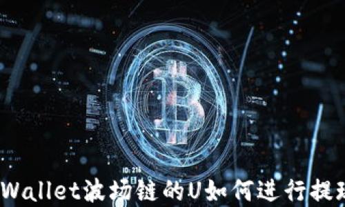 
tpWallet波场链的U如何进行提现？