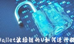 tpWallet波场链的U如何进行提现？