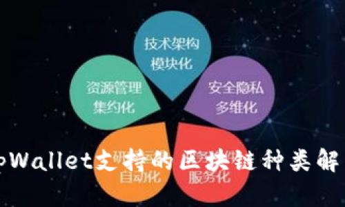tpWallet支持的区块链种类解析