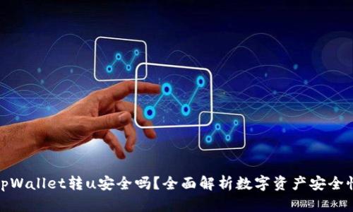 tpWallet转u安全吗？全面解析数字资产安全性
