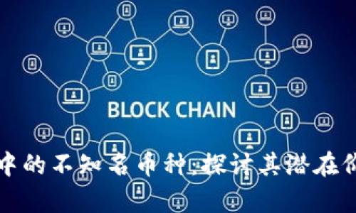 tpWallet中的不知名币种：探讨其潜在价值与风险