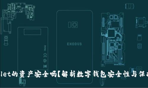 tpWallet的资产安全吗?解析数字钱包安全性与保护措施