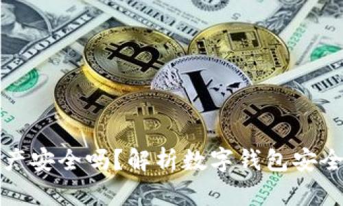 tpWallet的资产安全吗?解析数字钱包安全性与保护措施
