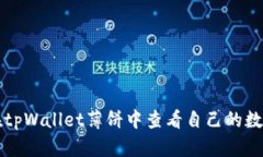 如何在tpWallet薄饼中查看自己的数字资产