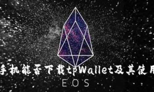 苹果手机能否下载tpWallet及其使用指南