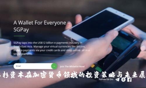 红杉资本在加密货币领域的投资策略与未来展望