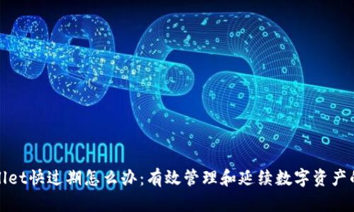 tpWallet快过期怎么办:有效管理和延续数字资产的策略