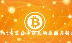 tpWallet重装后币消失的原因与解决方案