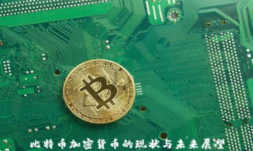 比特币加密货币的现状与未来展望