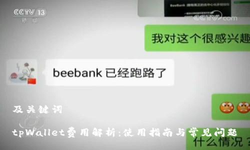 及关键词

tpWallet费用解析：使用指南与常见问题
