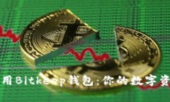 如何下载和使用Bitkeep钱包：你的数字资产安全保