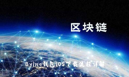 Bying钱包iOS下载流程详解