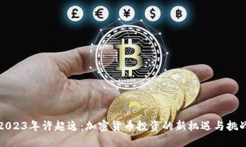 2023年许超逸:加密货币投资的新机遇与挑战
