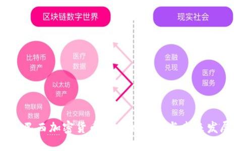 巴西加密货币交易的现状与未来发展